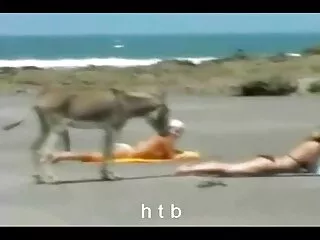 Lười biếng Larry tìm mẹ với chim phim sex nhật bản mới nhất
